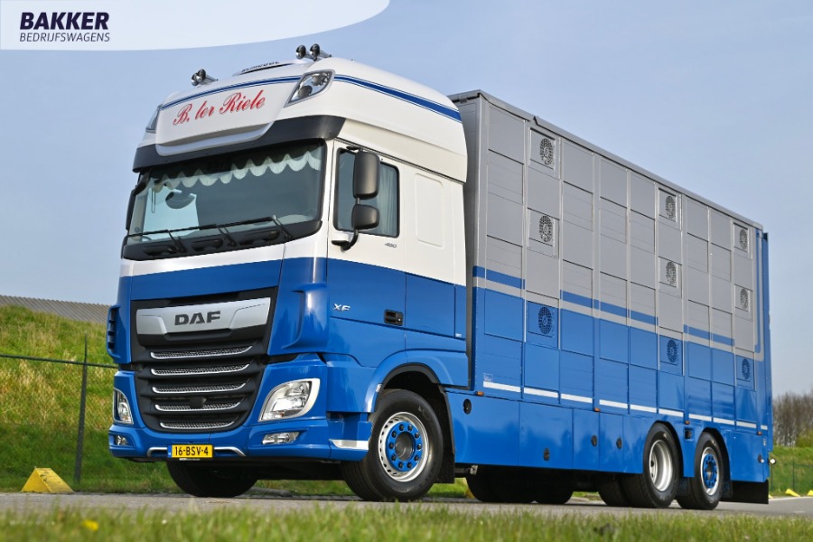 DAF