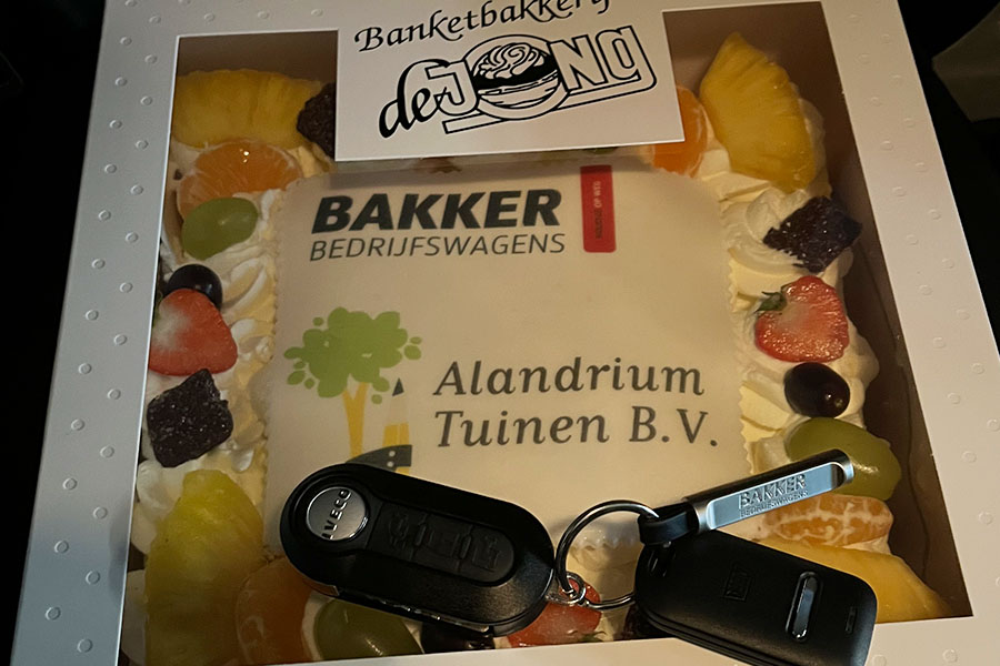 iveco-daily-alandrium-tuinen-3.jpg