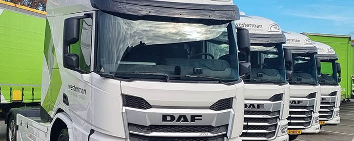 daf xd westerman