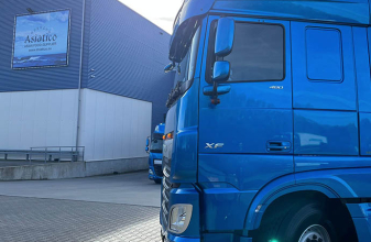 DAF asiatico 